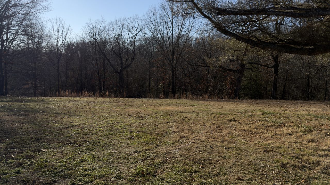 Cleared, buildable homesite with wooded backdrop