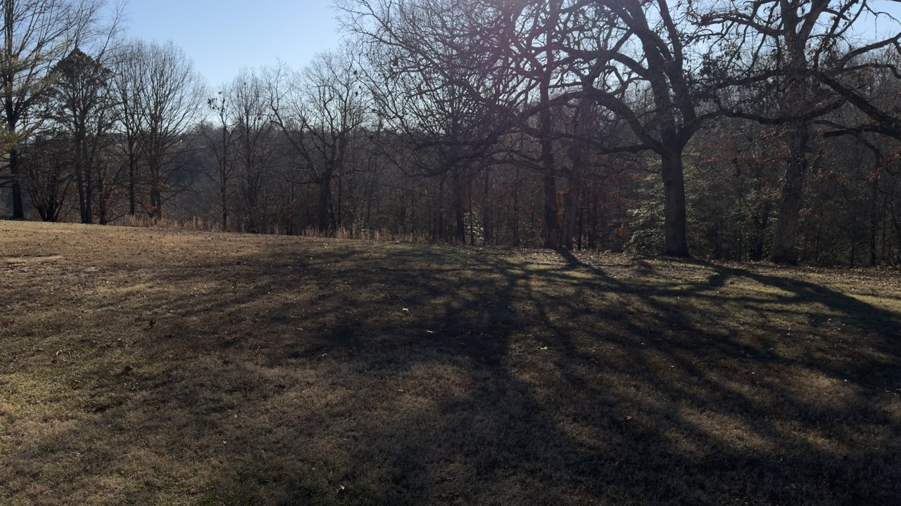 Elevated ridge with lake view through trees